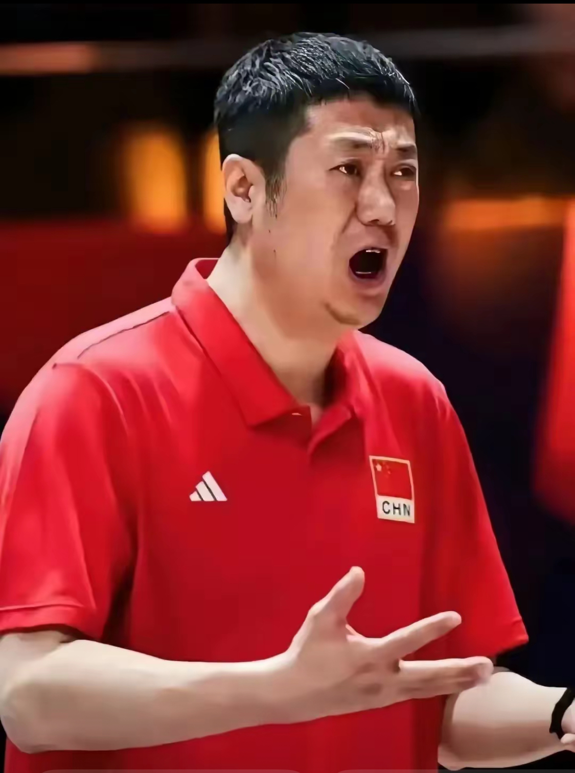 波兰队翻盘中国队，张继科高光表现的简单介绍