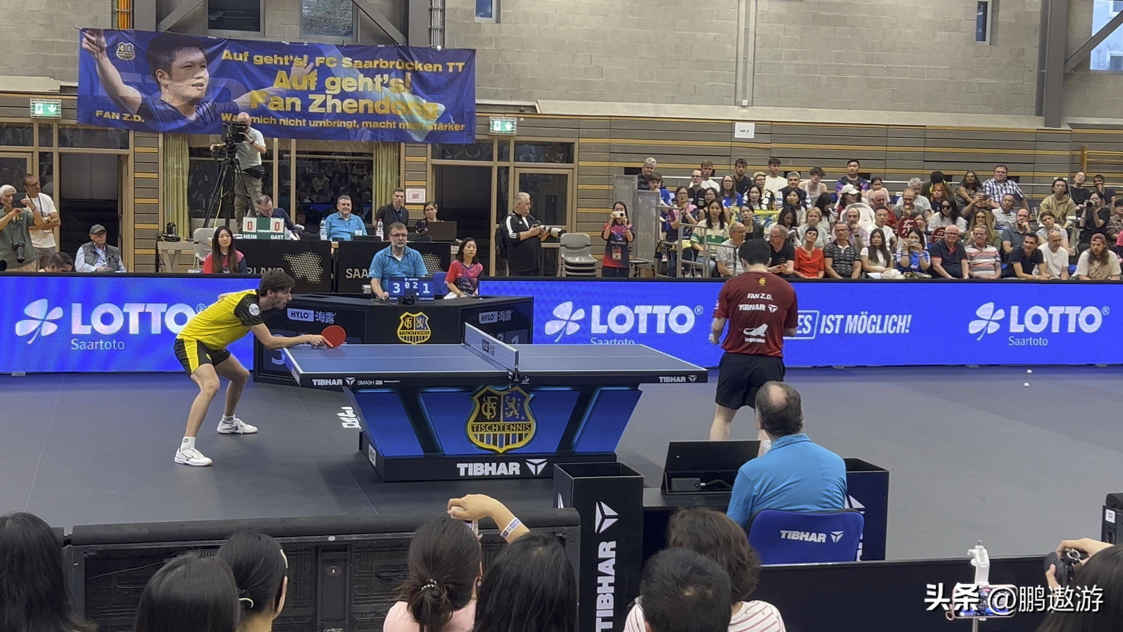 包含德国队逆转葡萄牙队，樊振东状态火热的词条