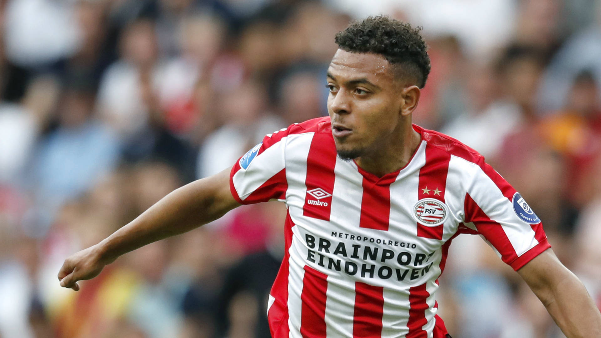 南安普顿球迷饱含热情，全力支持球队胜出的简单介绍