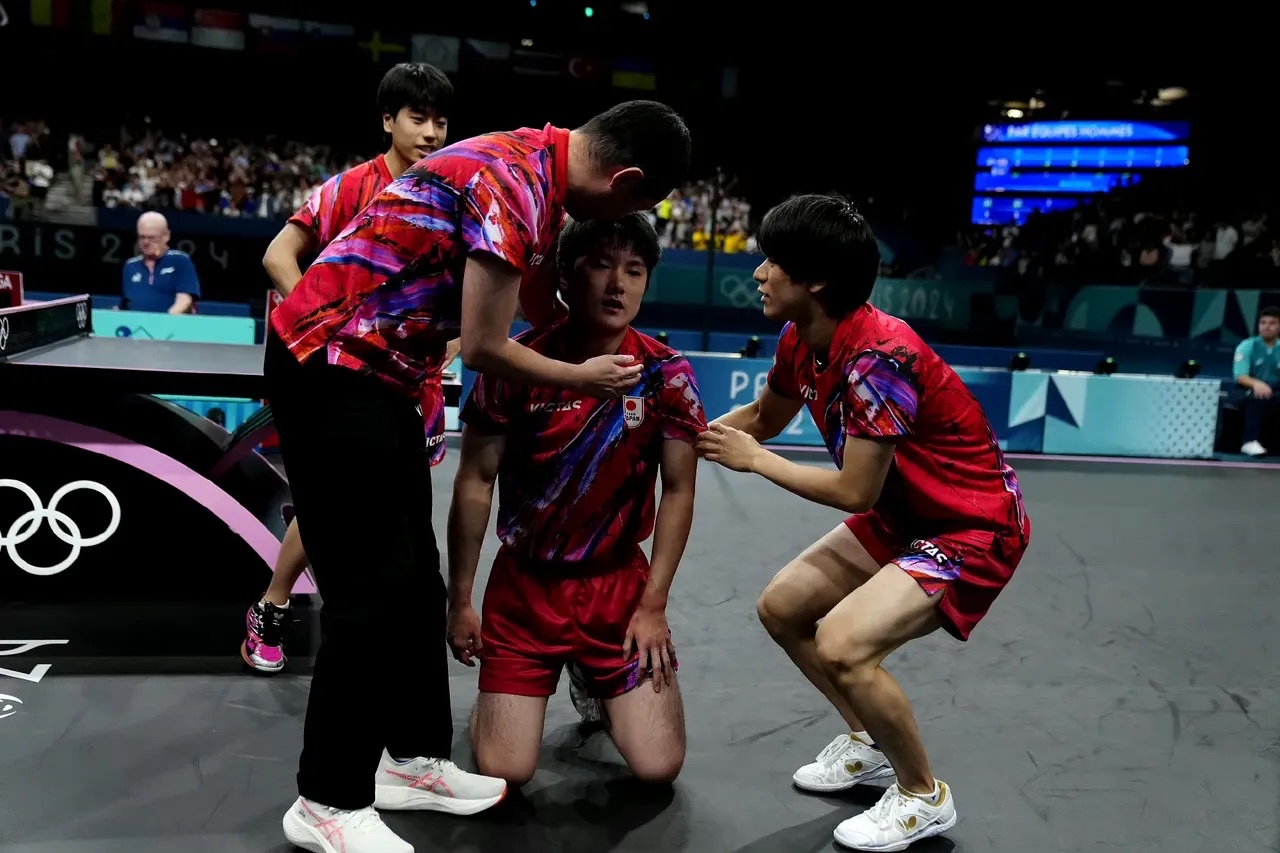 包含法国乒乓球队鏖战瑞典乒乓球队，张本智和送出助攻的词条