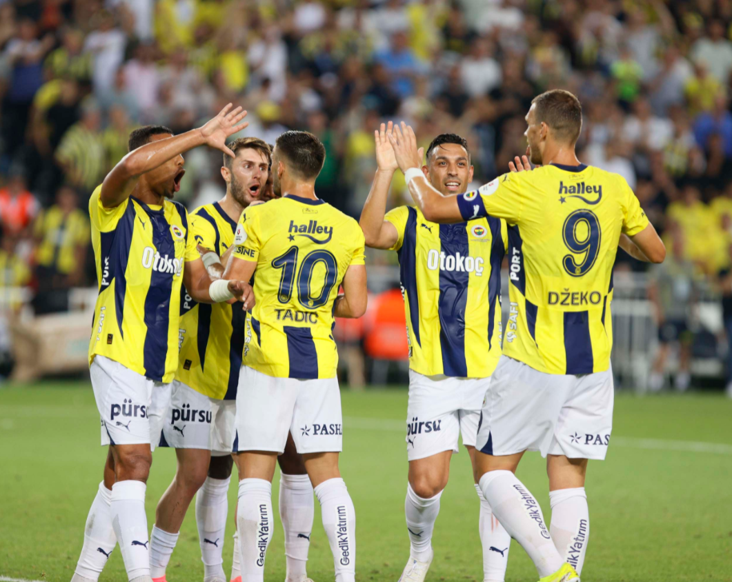 法国队逆转奥地利队，波尔状态火热的简单介绍