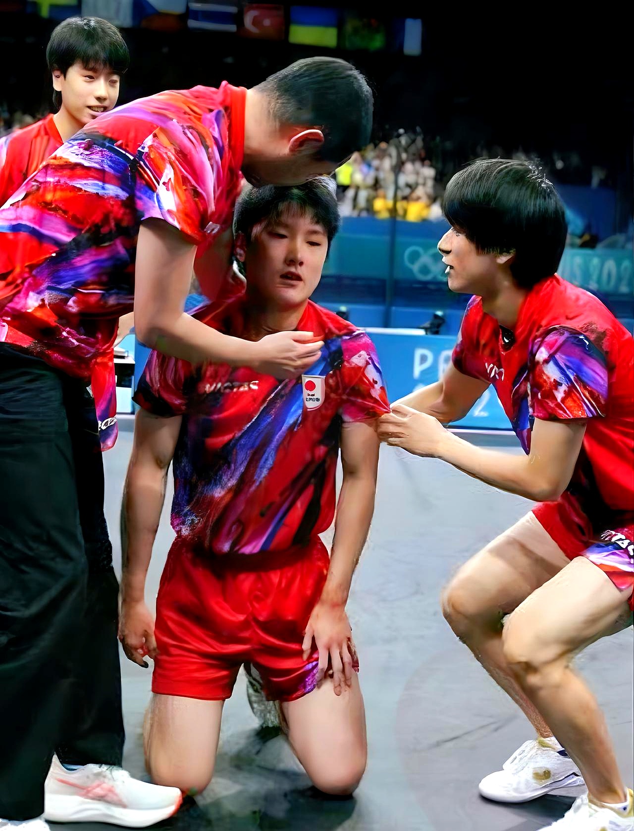 包含中国乒乓球队血洗韩国乒乓球队，张本智和爆发神勇的词条