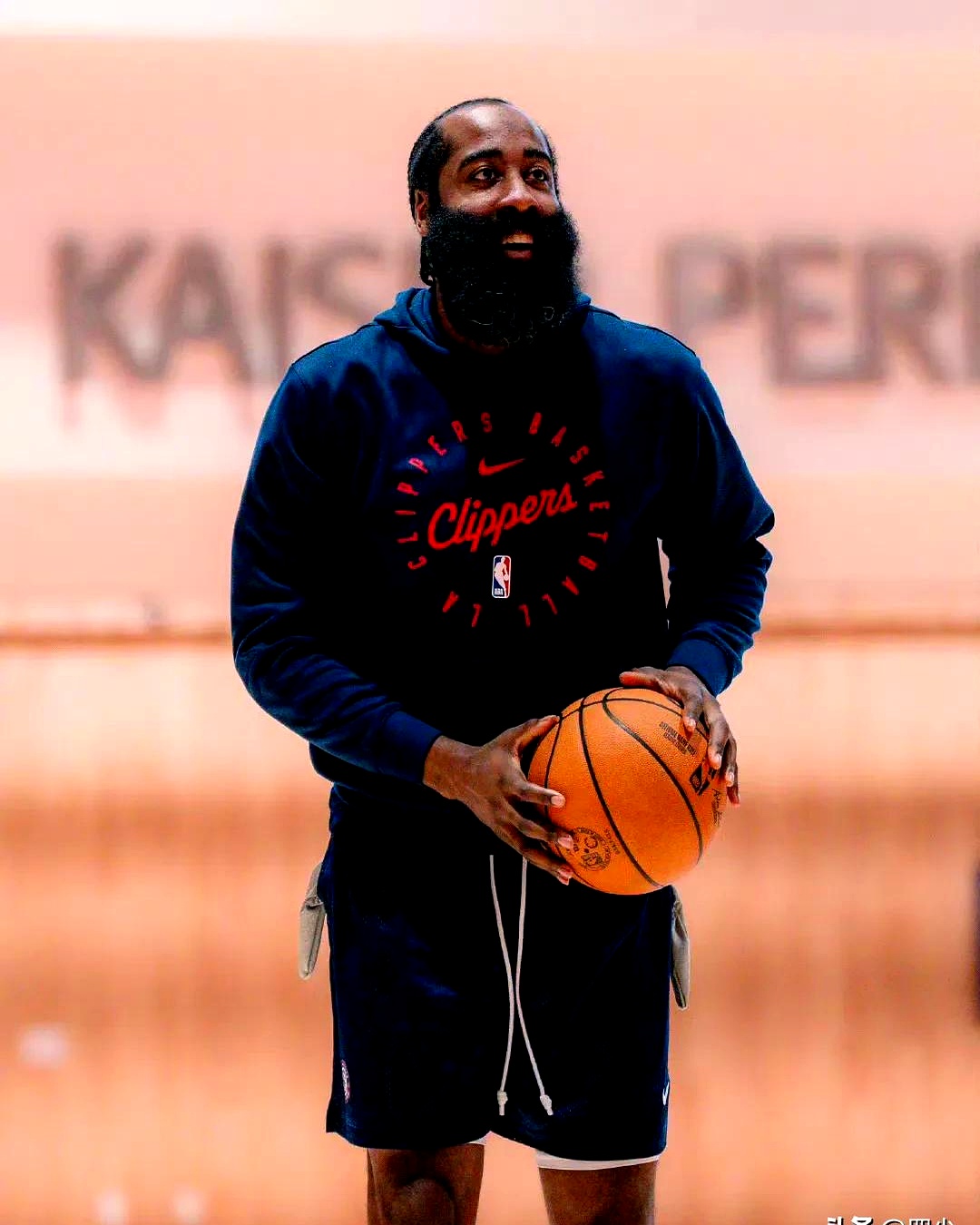 江苏队横扫灰熊，哈登高光表现的简单介绍